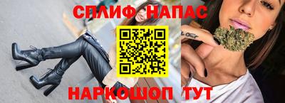 гидра Моздок