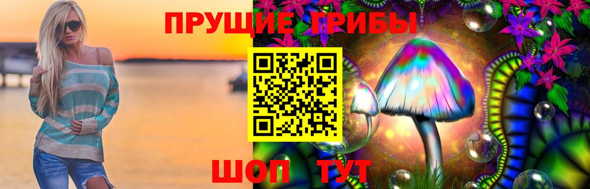 Псилоцибиновые грибы GOLDEN TEACHER  дарнет шоп  Псилоцибиновые грибы Psilocybe  Энгельс  Вход с VPN 